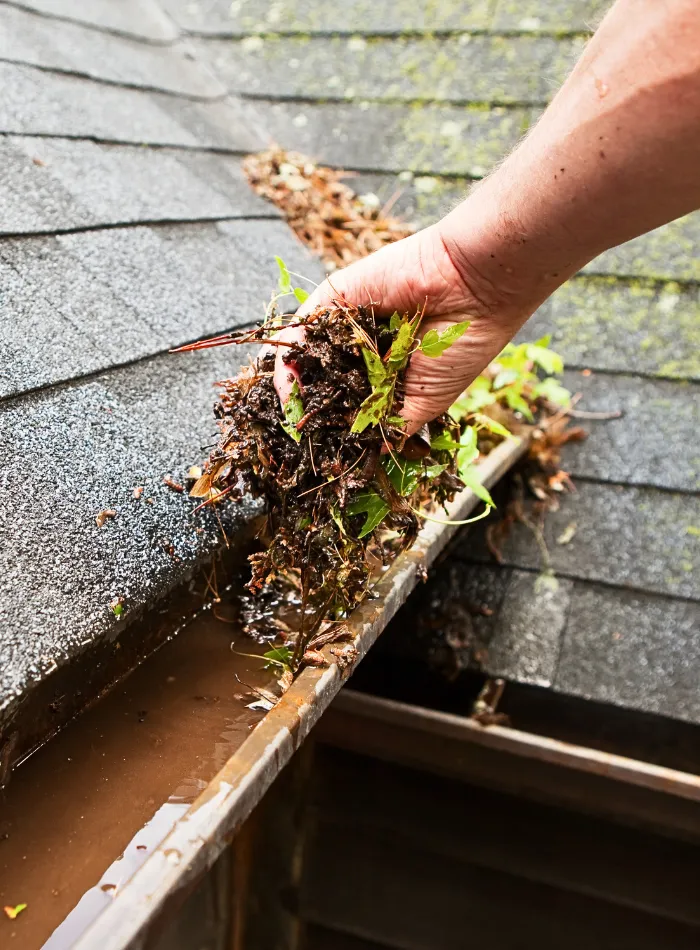 Professional Rain Gutter Cleaning Charlotte - Preventing Clogs and Water Damage
